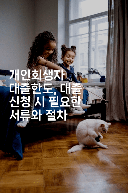 개인회생자 대출한도, 대출 신청 시 필요한 서류와 절차-싱미미