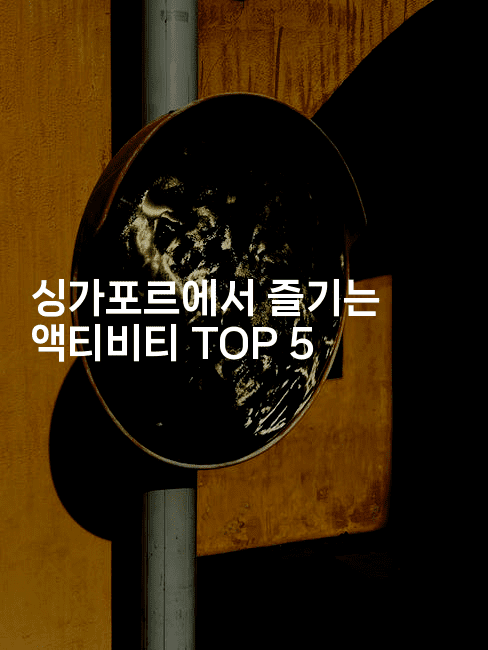 싱가포르에서 즐기는 액티비티 TOP 5
-싱미미