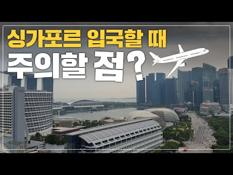 싱가폴 출국 과정 브이로그! 인천에서 창이공항까지.. 입국 시 주의할점은?
