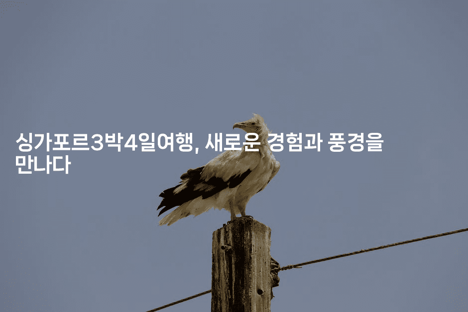 싱가포르3박4일여행, 새로운 경험과 풍경을 만나다2-싱미미