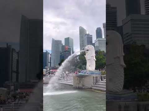 미친 물가와 안 들리는 영어에 두번 놀라는 싱가폴 여행?