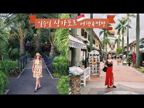 싱가포르로 같이 떠나요! 싱가폴 여행&먹방&정보 Singapore One Week Trip ♥︎ [재리마이즈 Jaelimize]