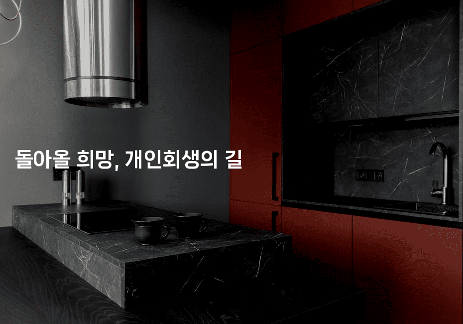 돌아올 희망, 개인회생의 길-싱미미