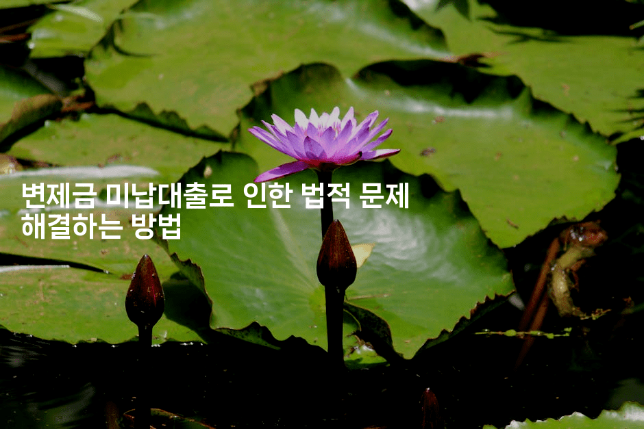 변제금 미납대출로 인한 법적 문제 해결하는 방법