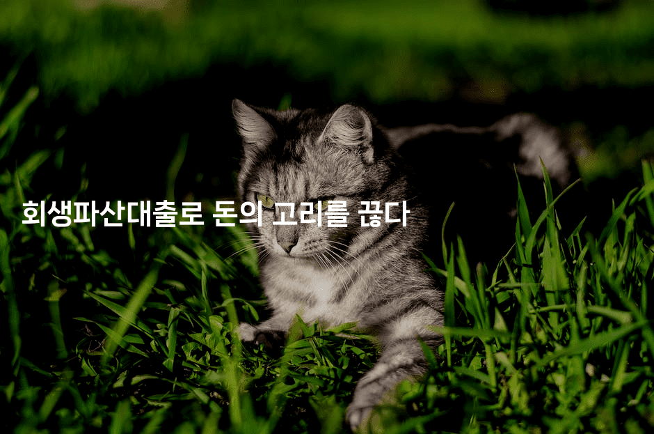 회생파산대출로 돈의 고리를 끊다-싱미미