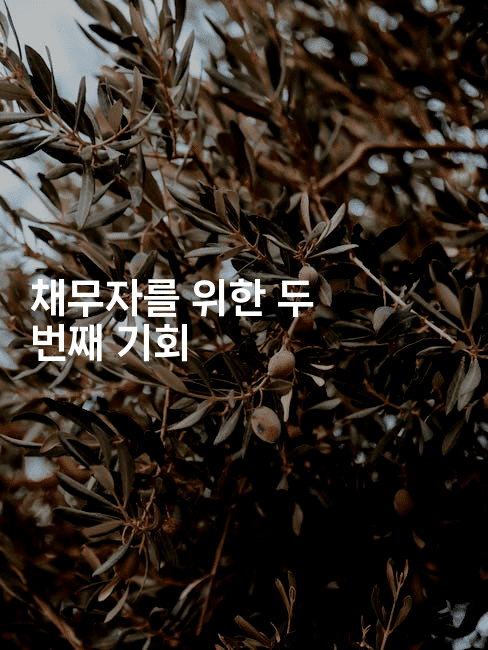 채무자를 위한 두 번째 기회-싱미미