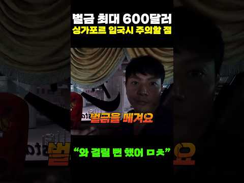 싱가포르 여행시 걸리면 80만원 벌금 무조건 피하는 법