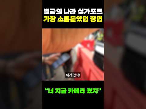 벌금의 나라 싱가포르 입국 가장 소름돋았던 장면