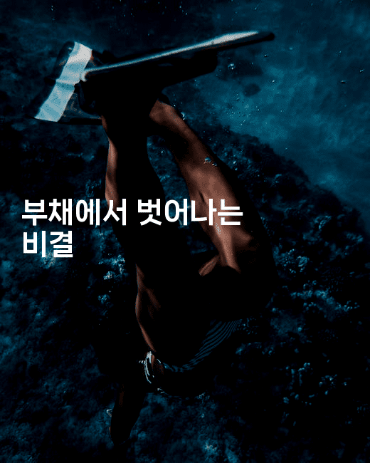 부채에서 벗어나는 비결-싱미미