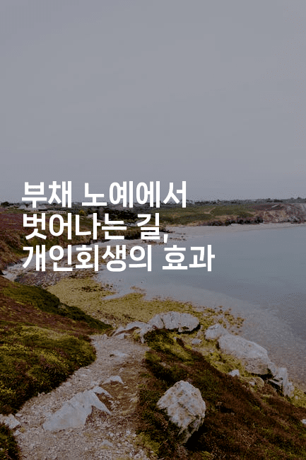 부채 노예에서 벗어나는 길, 개인회생의 효과