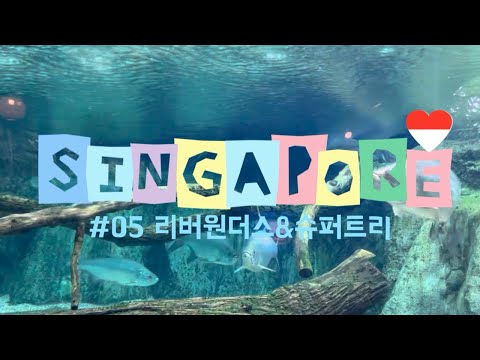 [싱가포르여행]05. 리버원더스와 슈퍼트리쇼(리버원더스, 슈퍼트리쇼, ASTON, 머라이언공원)