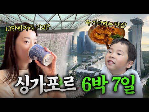 인생 최대 장거리 비행 성공⁉️ 아이와 함께한 싱가포르 가족 여행 (1편)