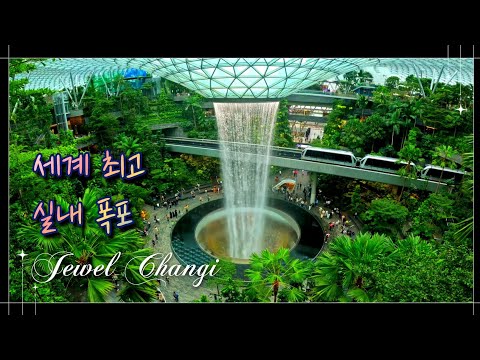 싱가포르🇸🇬 EP.4 창이공항 분수쇼. 바샤커피. 점보씨푸드. 쥬얼창이. 캐노피파크