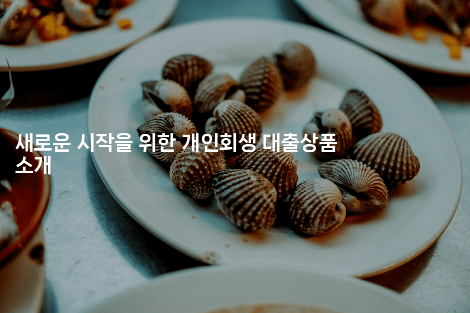 새로운 시작을 위한 개인회생 대출상품 소개-싱미미